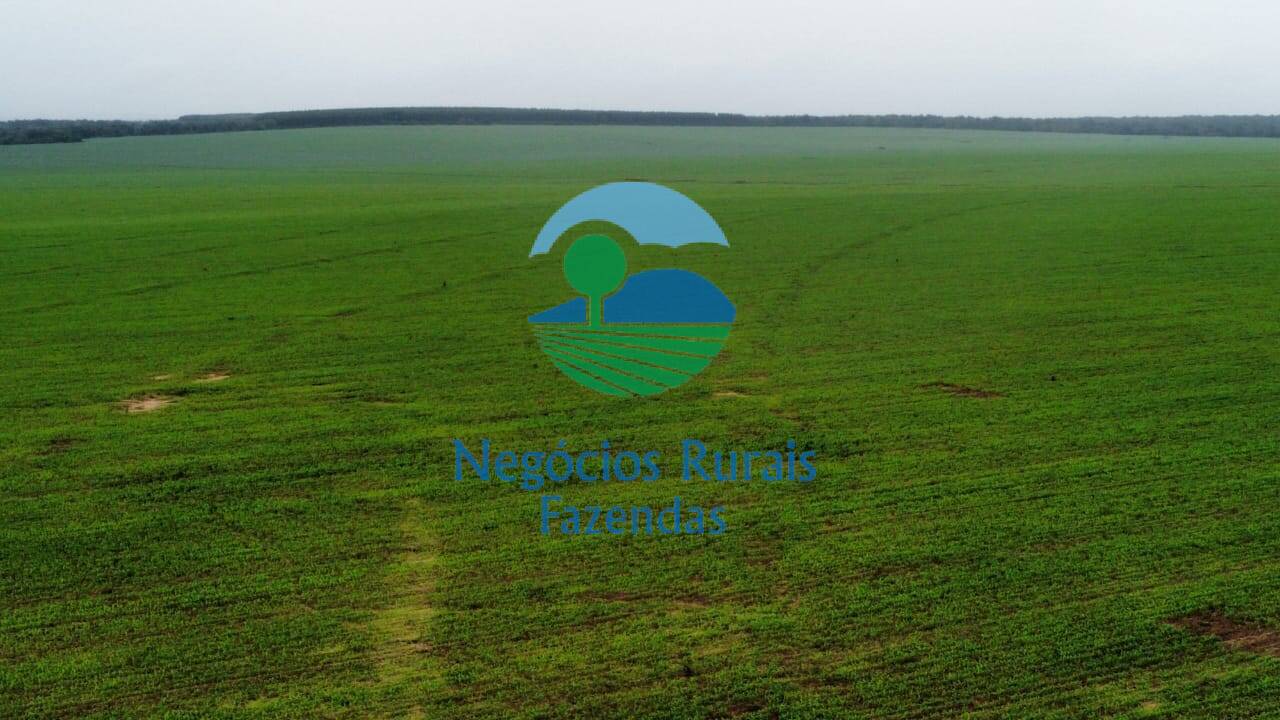 Fazenda de 3.204 ha em Araguaína, TO
