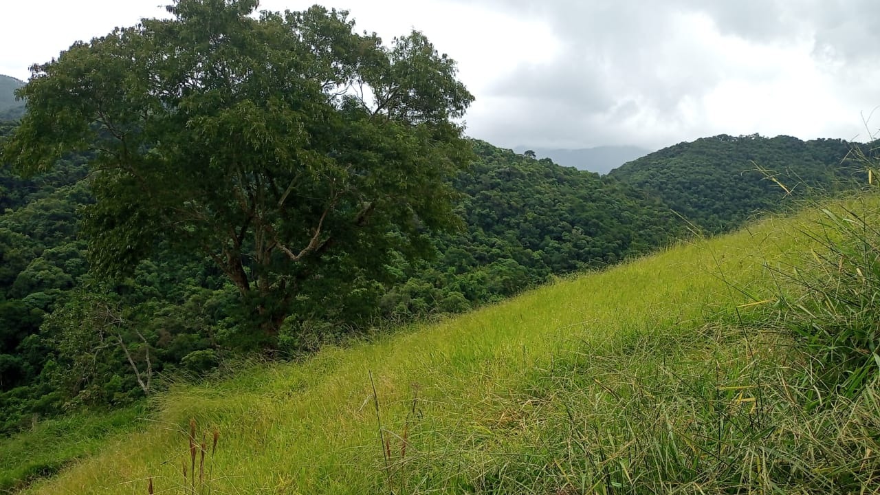 Terreno de 2 ha em São José dos Campos, SP