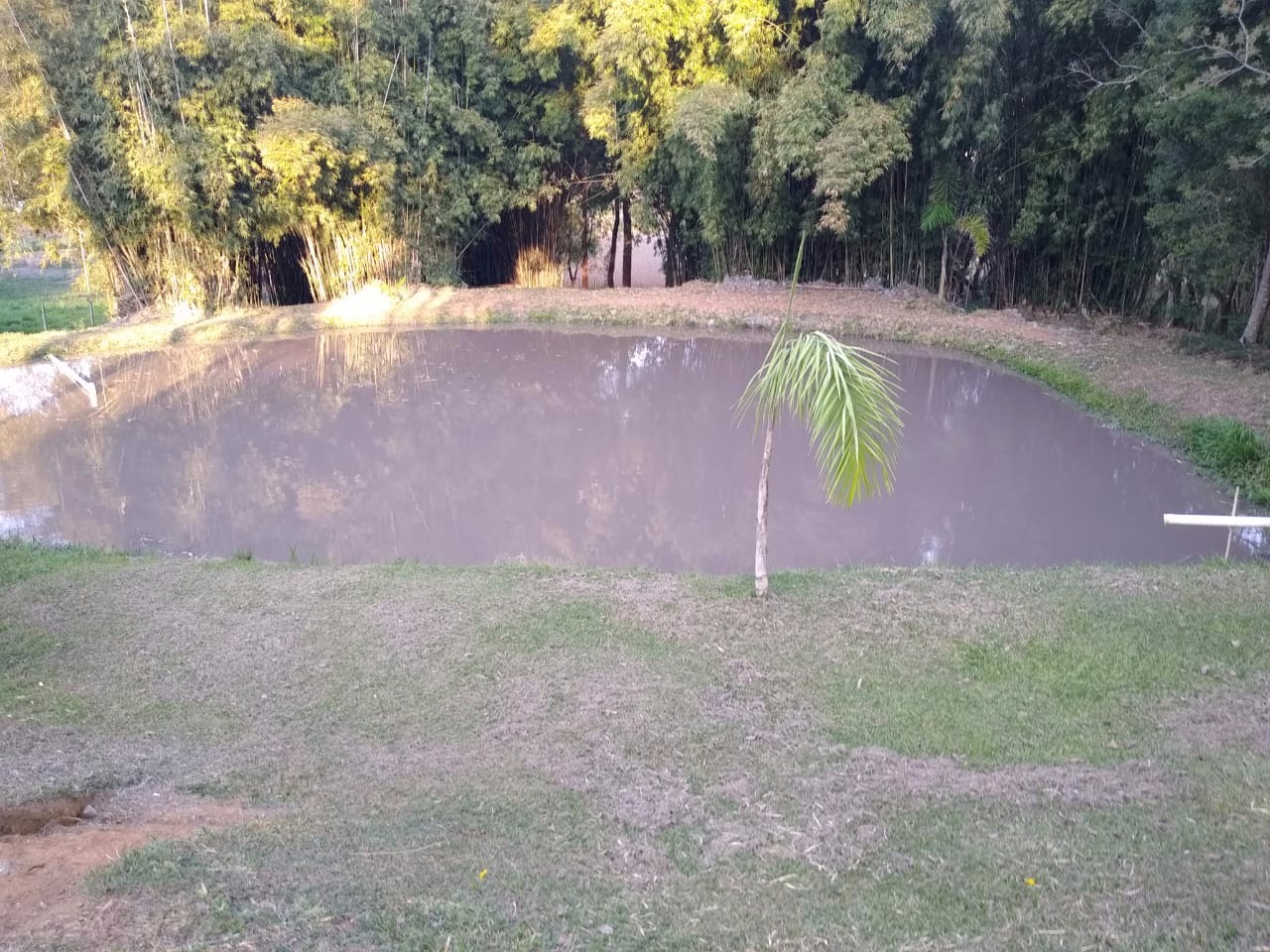 Chácara de 1 ha em Bragança Paulista, SP