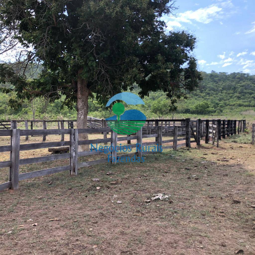 Fazenda de 484 ha em Jaú do Tocantins, TO