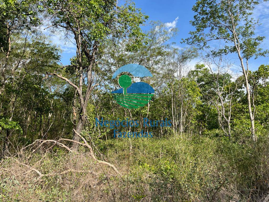 Fazenda de 484 ha em Jaú do Tocantins, TO