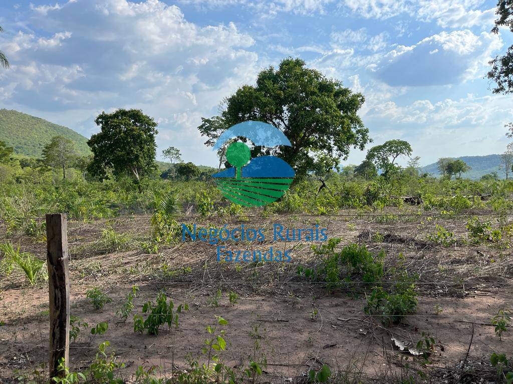 Fazenda de 484 ha em Jaú do Tocantins, TO