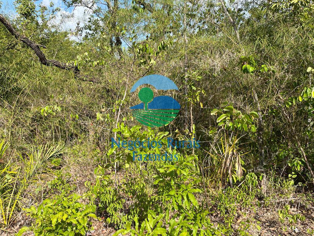 Fazenda de 484 ha em Jaú do Tocantins, TO