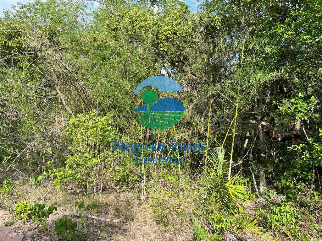 Fazenda de 484 ha em Jaú do Tocantins, TO