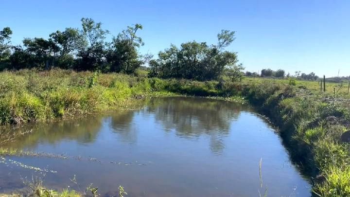 Sítio de 3 ha em Santo Antônio da Patrulha, RS