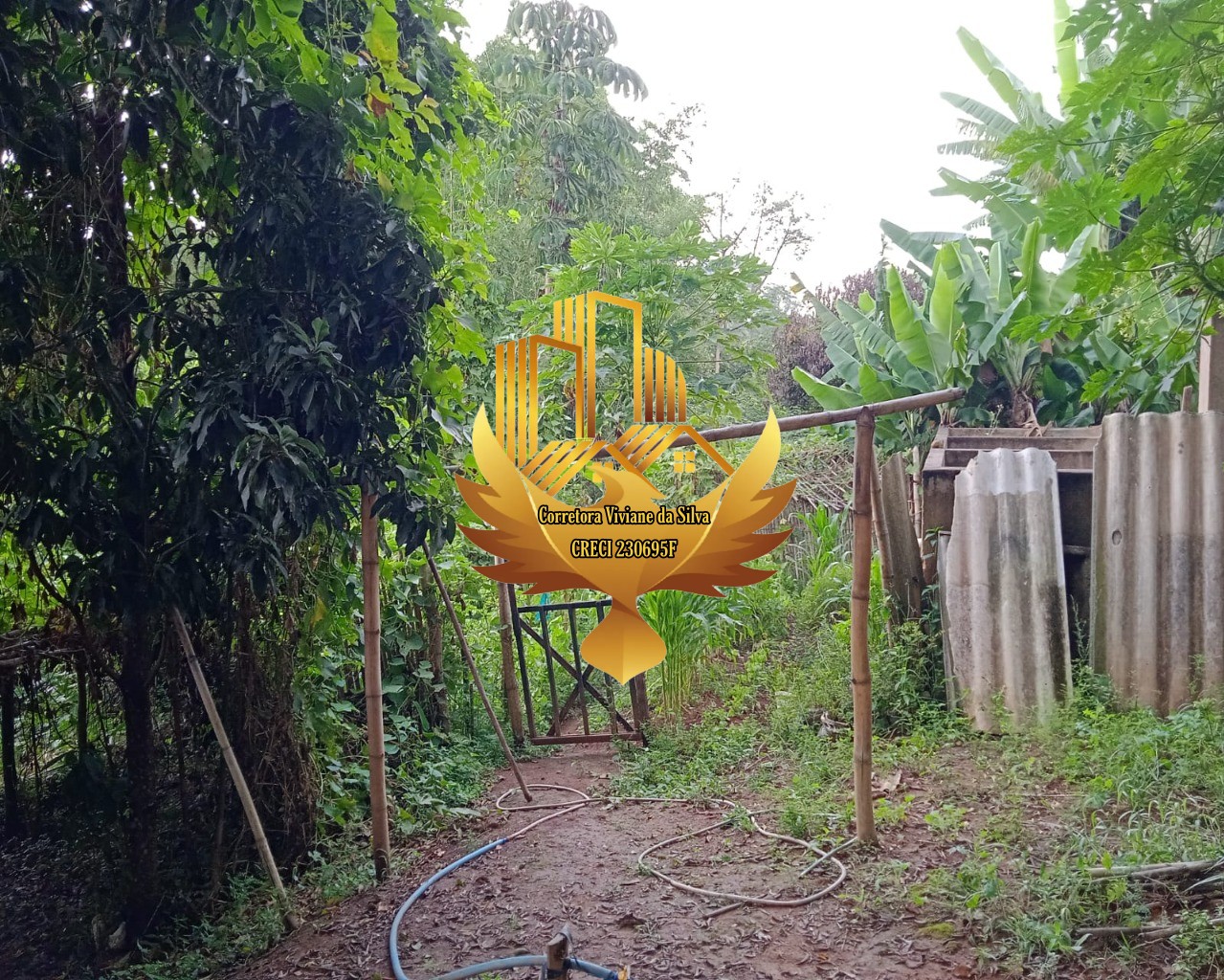 Sítio de 24 ha em São Luiz do Paraitinga, SP