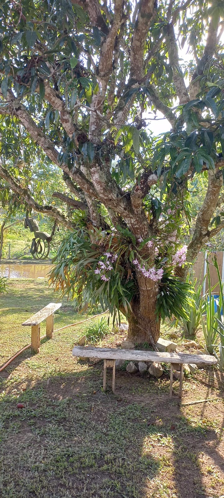 Chácara de 4.500 m² em Igaratá, SP