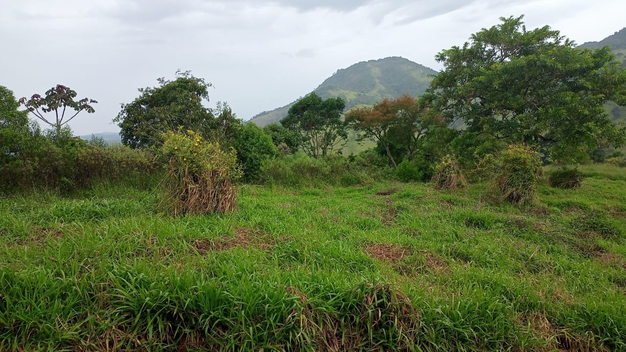 Terreno de 2 ha em São José dos Campos, SP