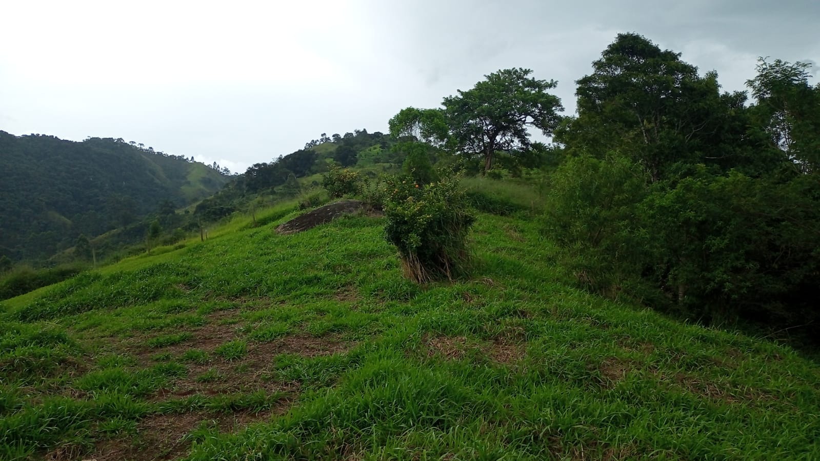 Terreno de 2 ha em São José dos Campos, SP