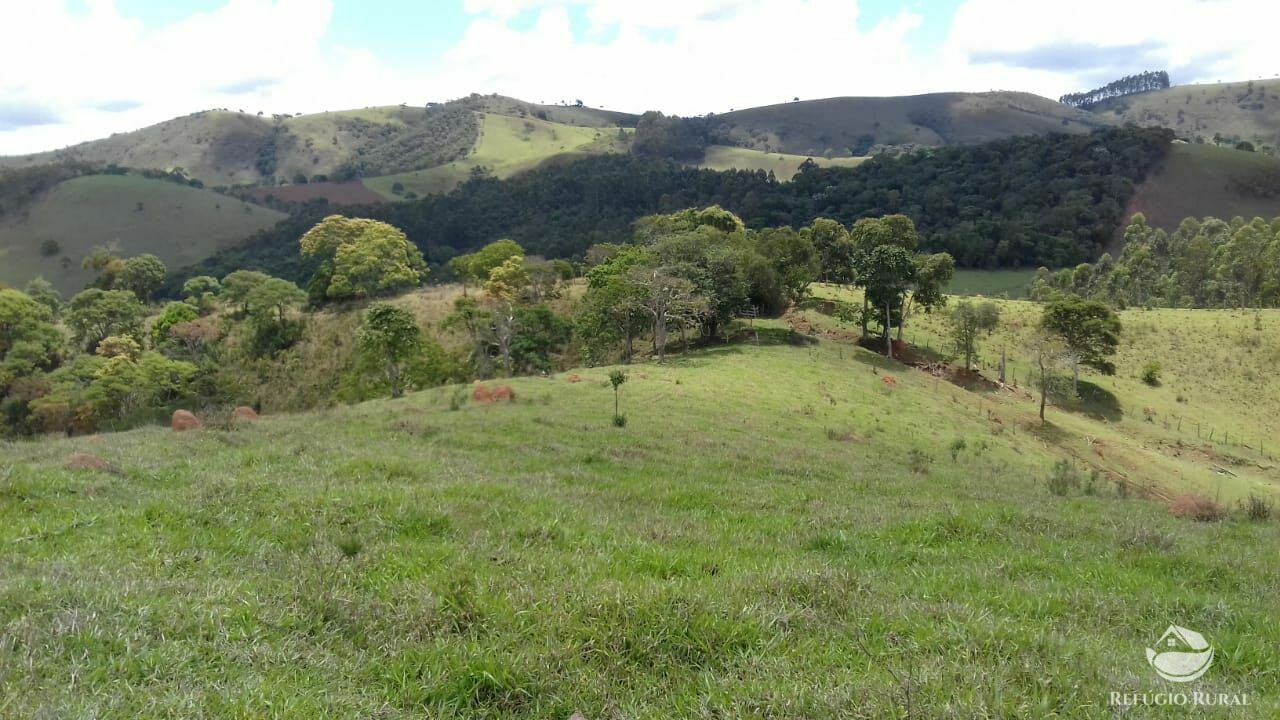 Sítio de 91 ha em Silveiras, SP