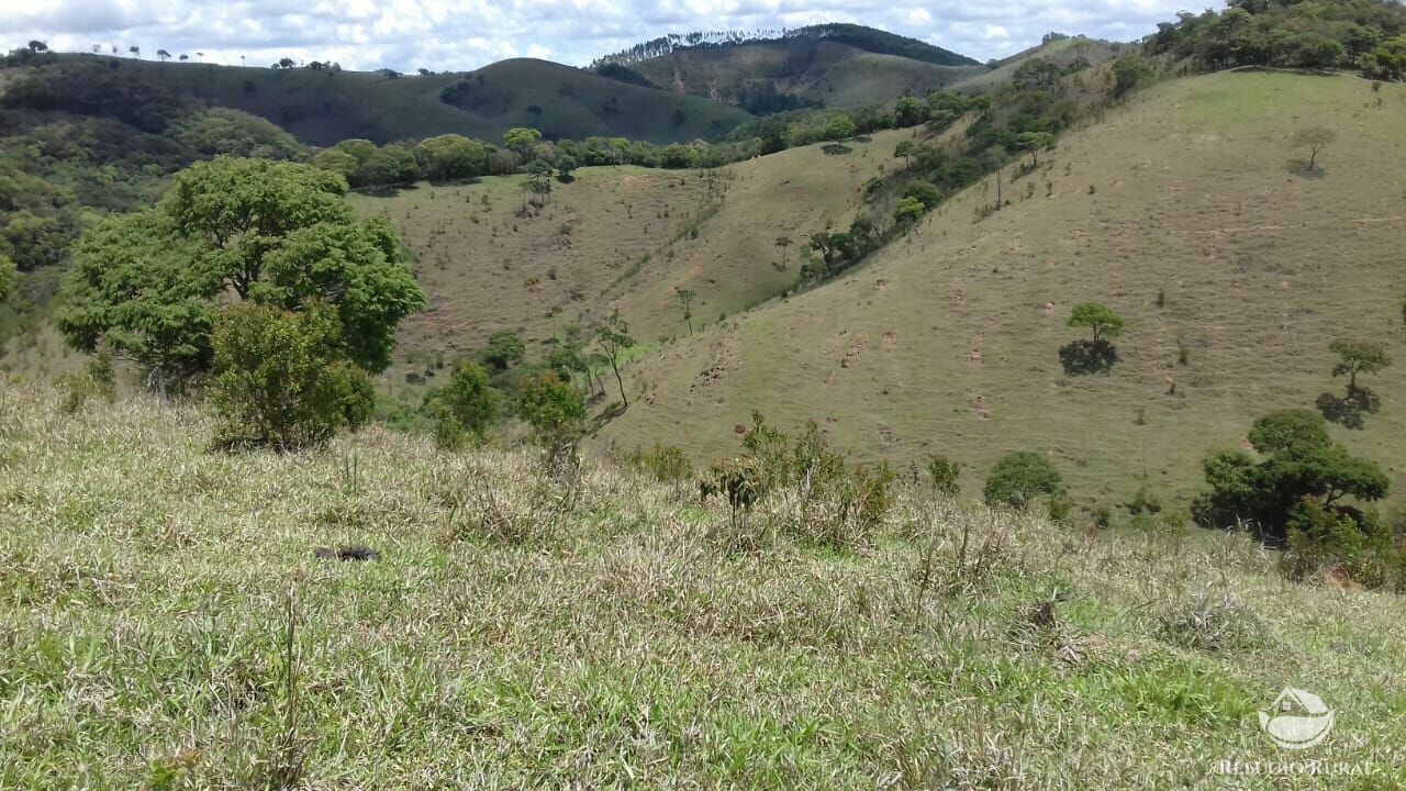 Sítio de 91 ha em Silveiras, SP