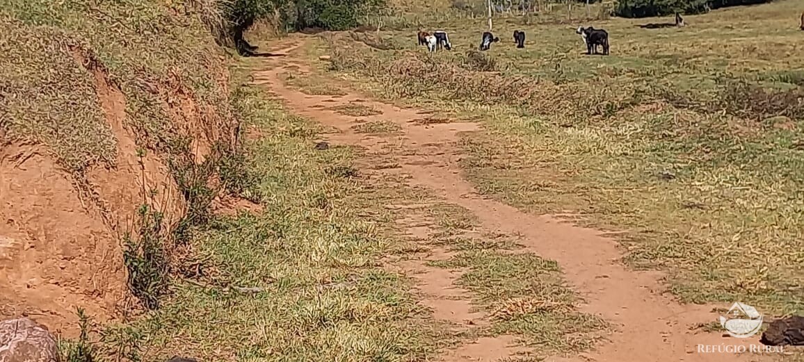 Sítio de 91 ha em Silveiras, SP