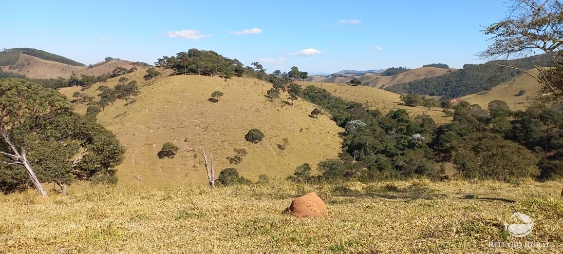 Sítio de 91 ha em Silveiras, SP