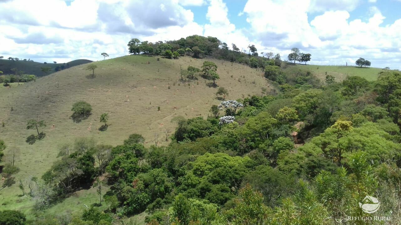 Sítio de 91 ha em Silveiras, SP