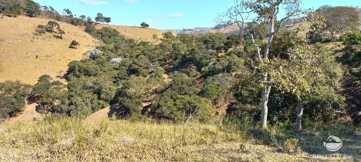 Sítio de 91 ha em Silveiras, SP