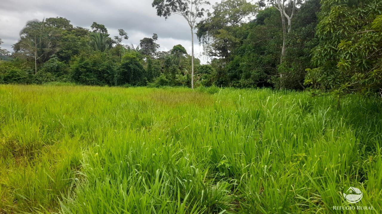 Fazenda de 643 ha em Baião, PA