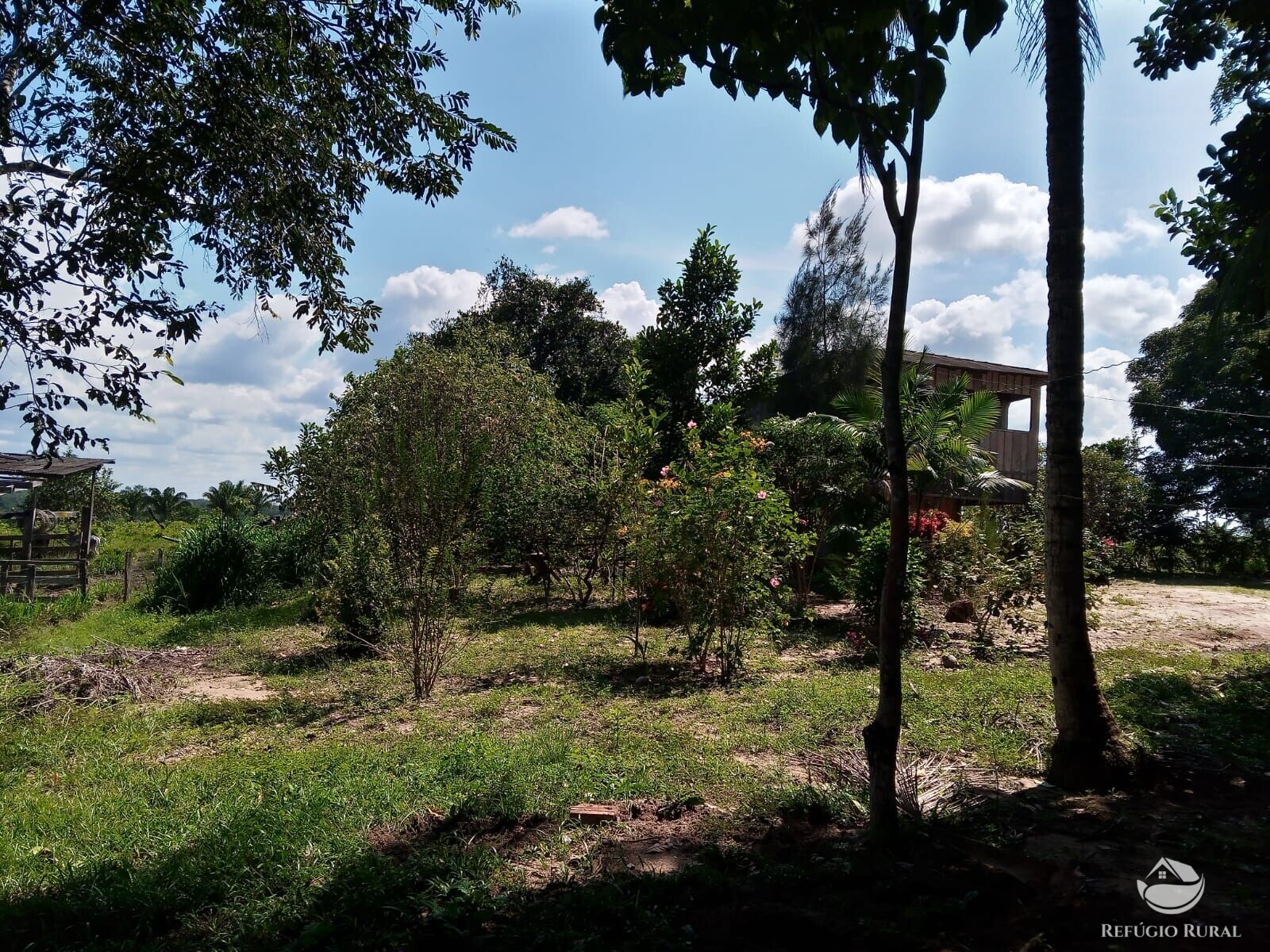 Fazenda de 643 ha em Baião, PA