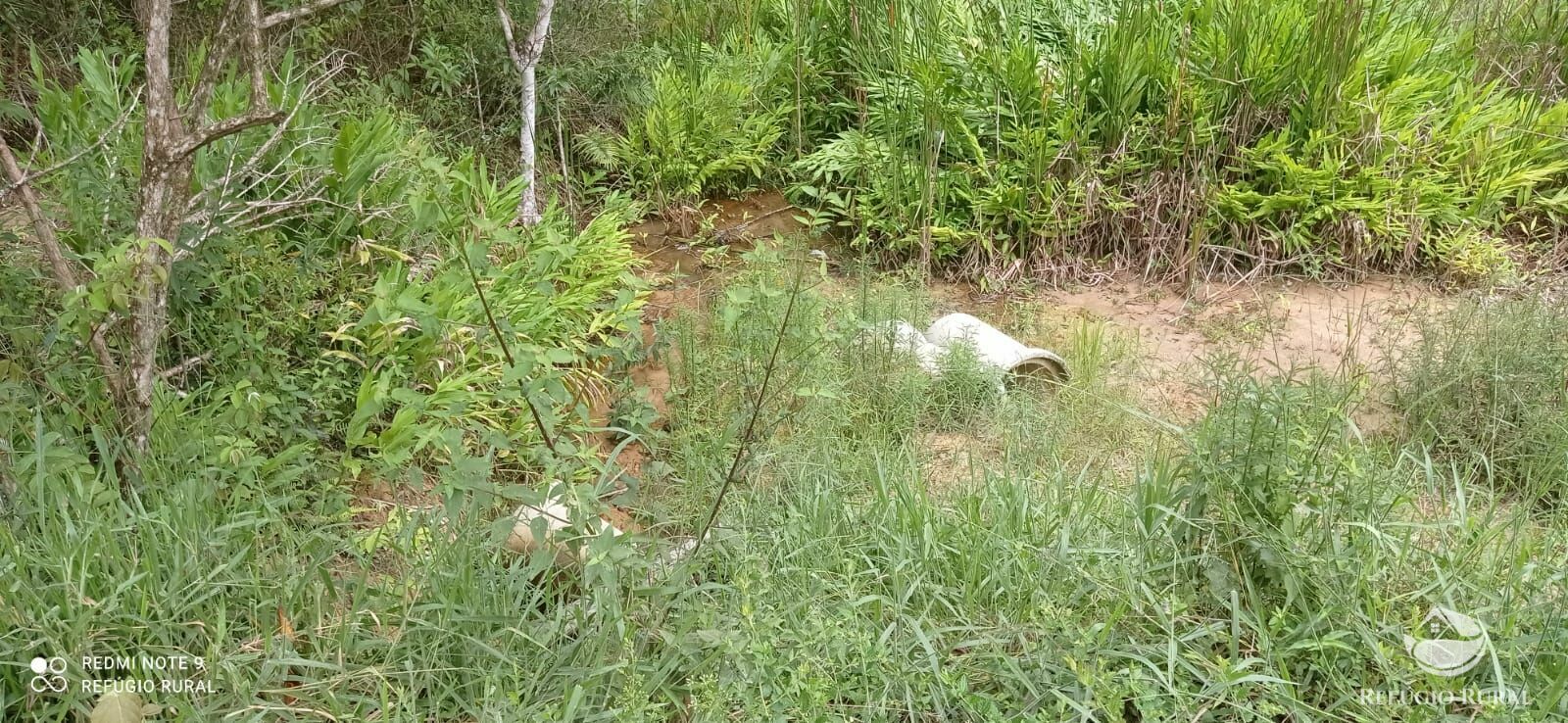 Sítio de 24 ha em São José dos Campos, SP