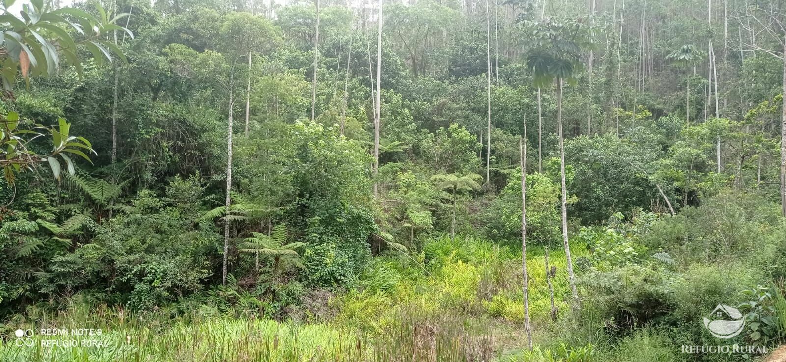 Sítio de 24 ha em São José dos Campos, SP