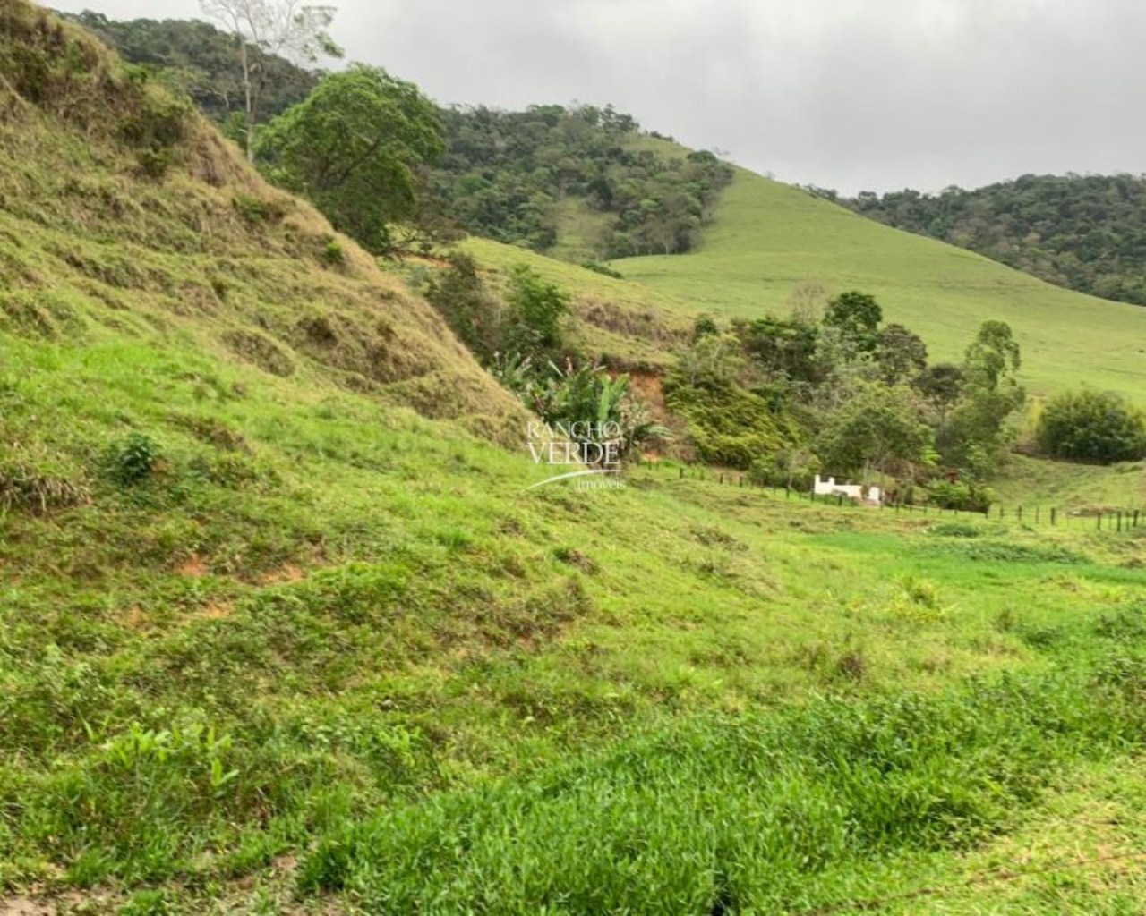 Fazenda de 136 ha em Pindamonhangaba, SP