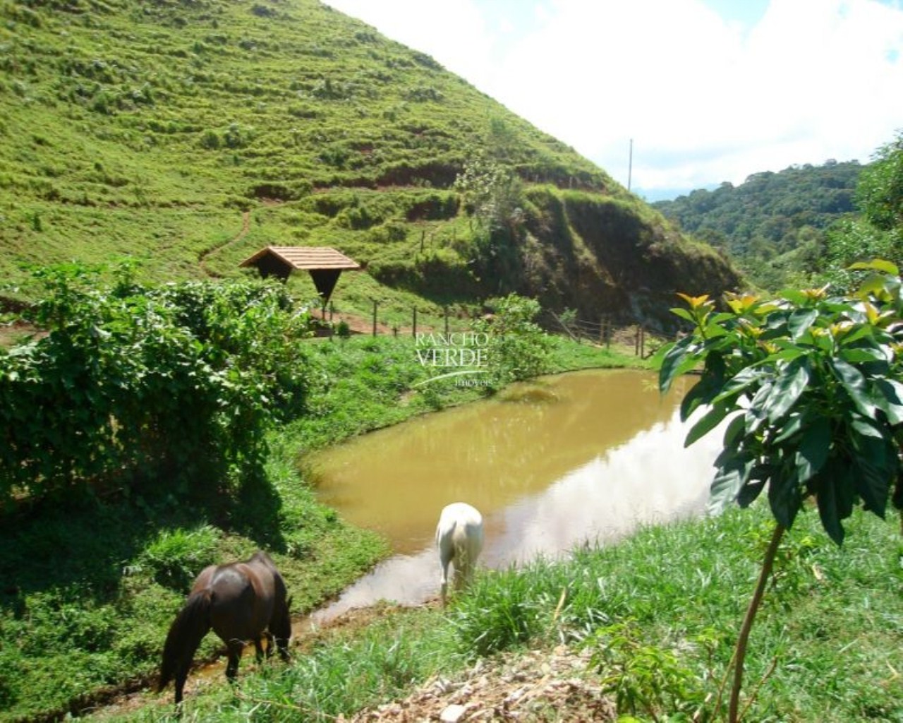 Fazenda de 85 ha em São José dos Campos, SP