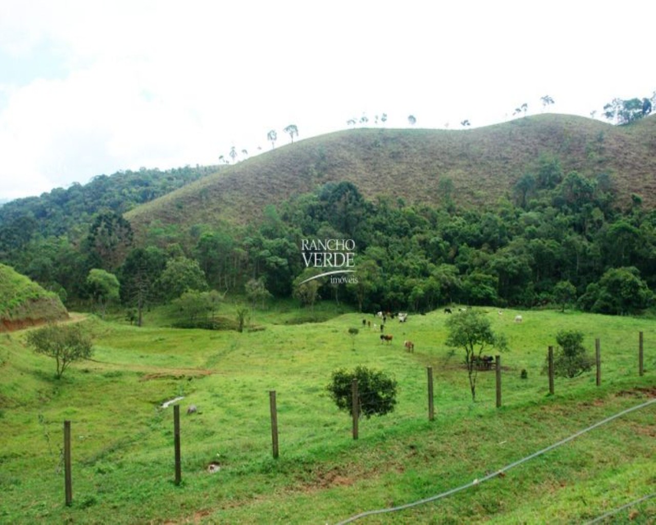 Fazenda de 85 ha em São José dos Campos, SP