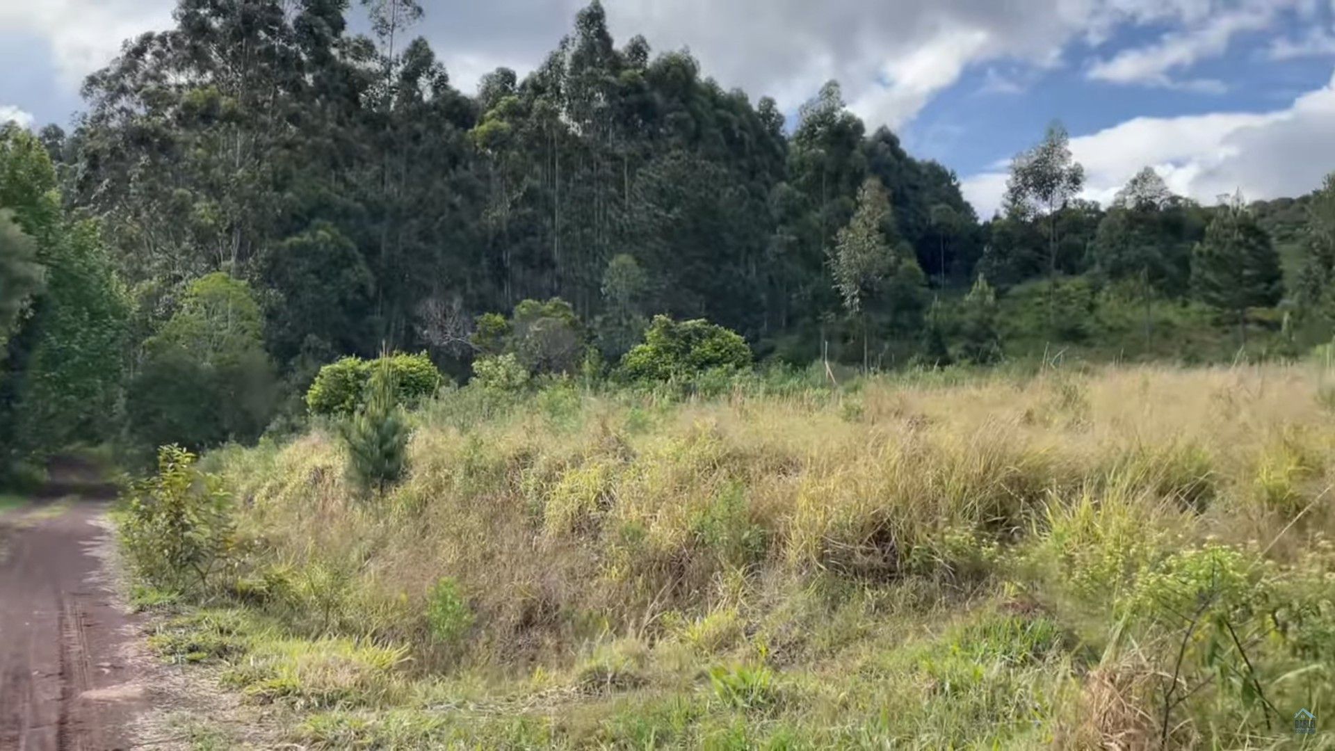 Terreno de 14 ha em Caraá, RS