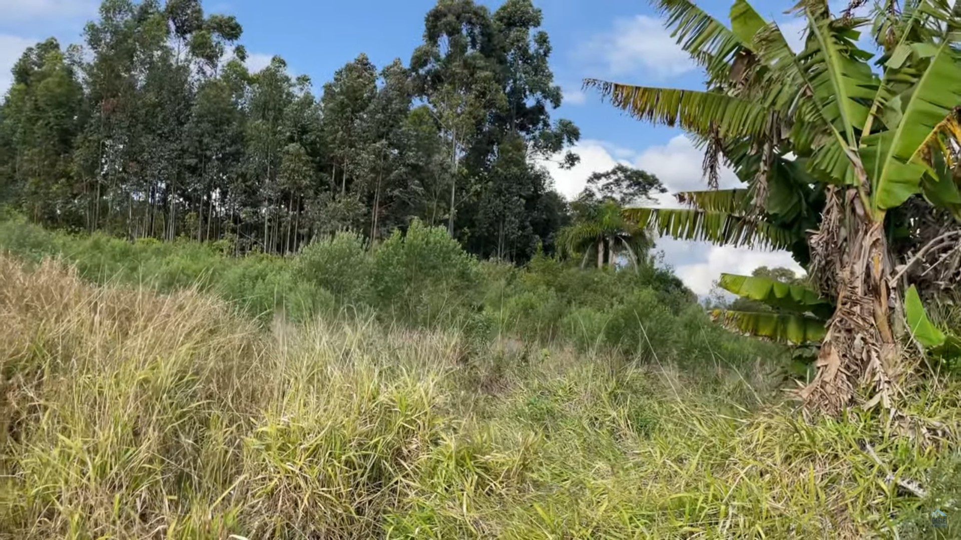 Terreno de 14 ha em Caraá, RS