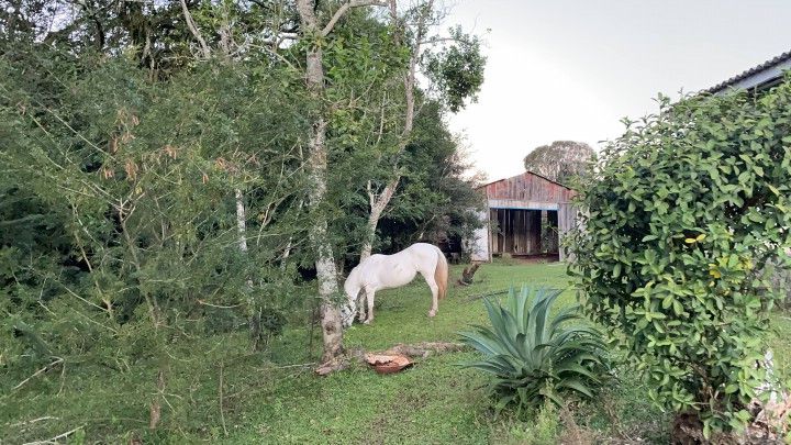 Chácara de 3 ha em Taquara, RS