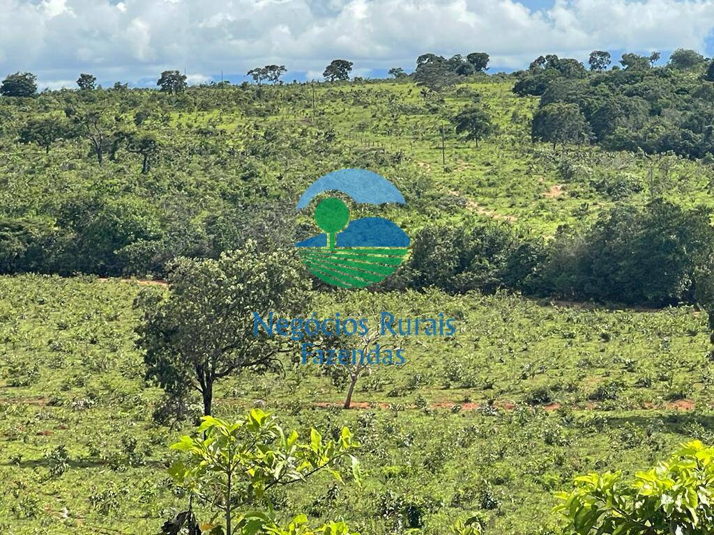 Fazenda de 208 ha em Uruaçu, GO