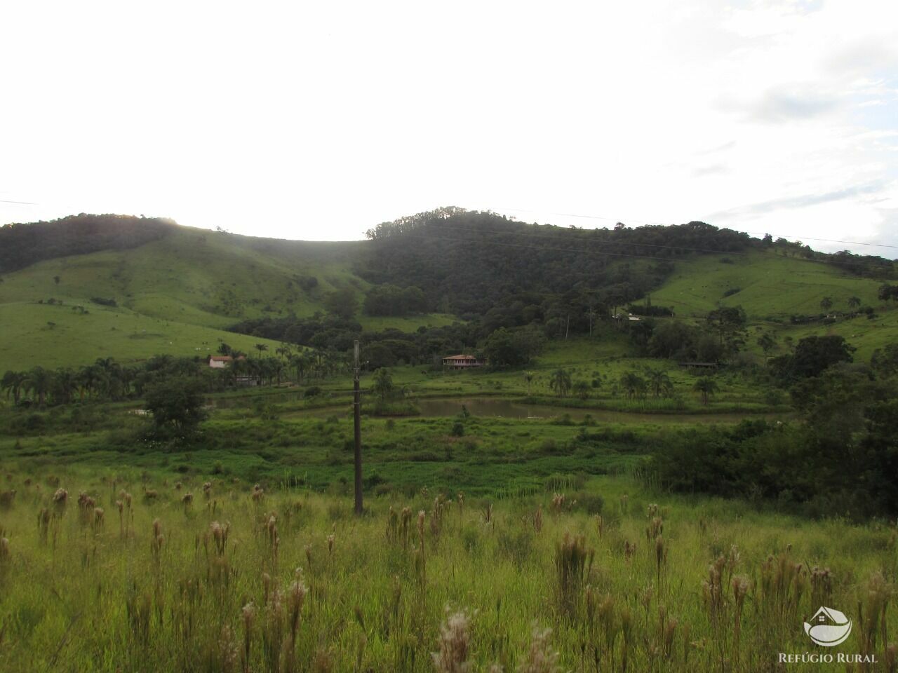 Fazenda de 28 ha em Itapeva, MG