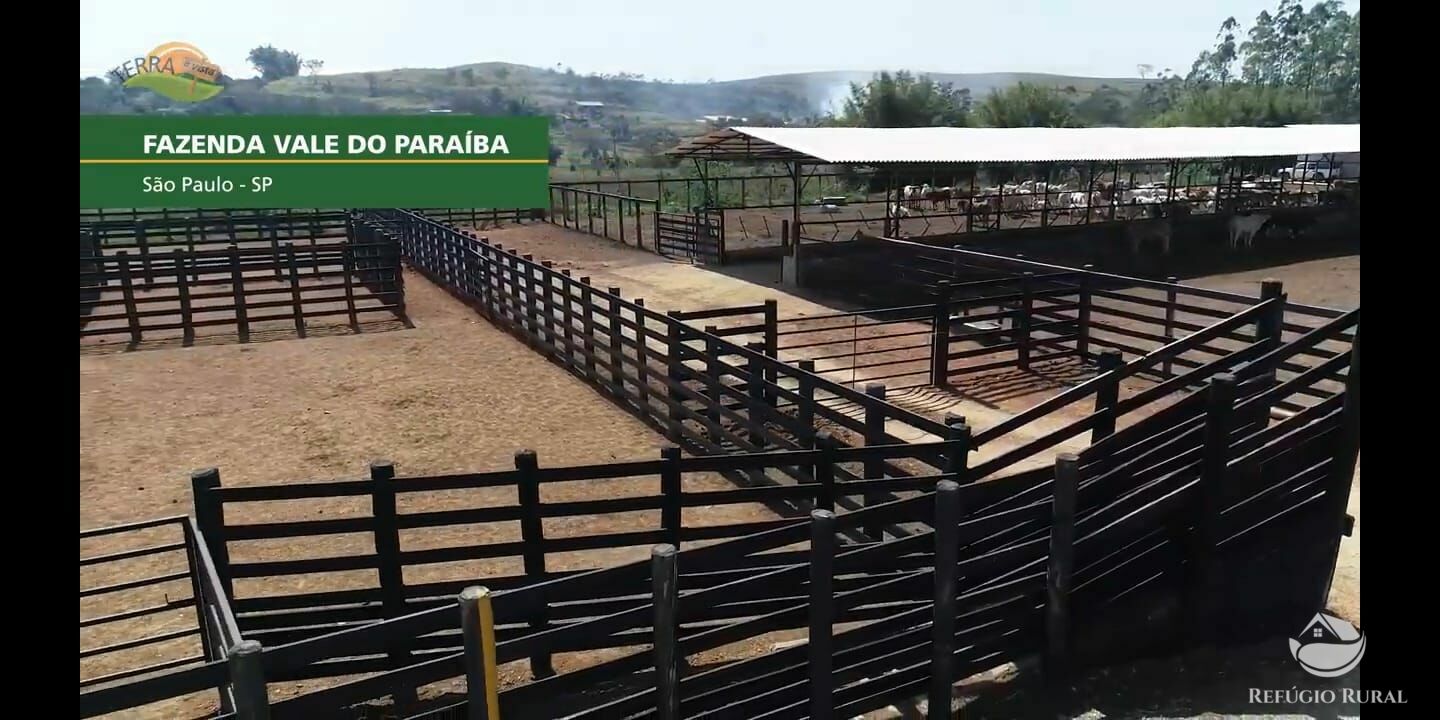 Fazenda de 257 ha em Caçapava, SP