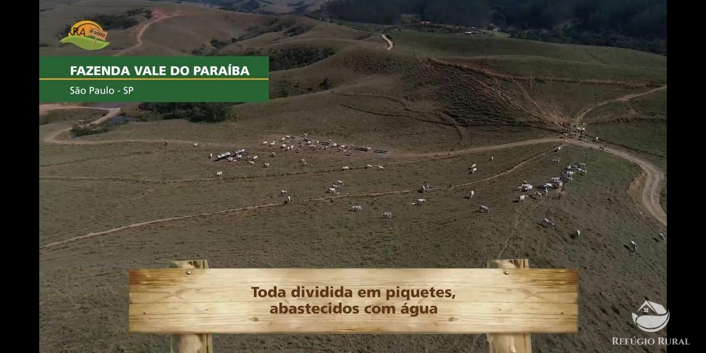 Fazenda de 257 ha em Caçapava, SP