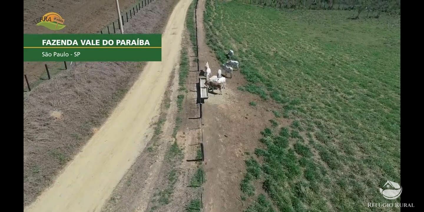 Fazenda de 257 ha em Caçapava, SP