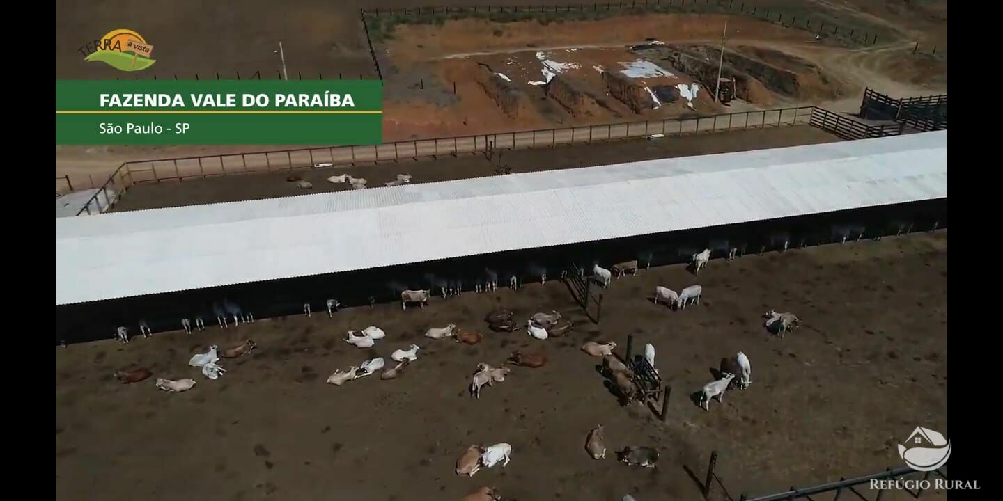 Fazenda de 257 ha em Caçapava, SP