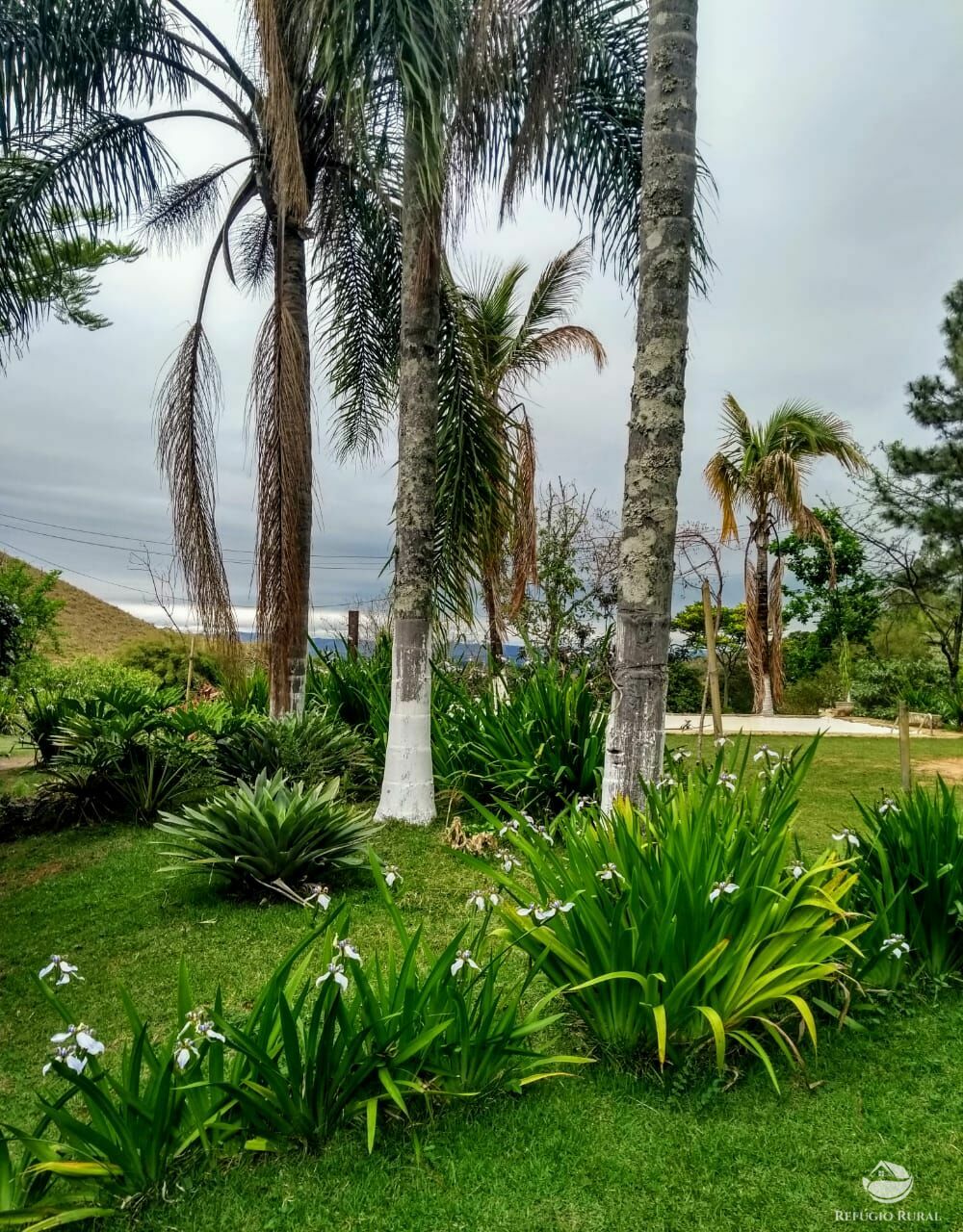 Fazenda de 257 ha em Caçapava, SP