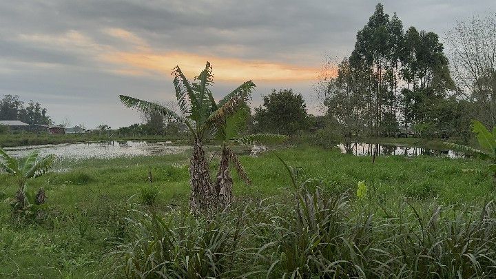 Chácara de 4.400 m² em Santo Antônio da Patrulha, RS