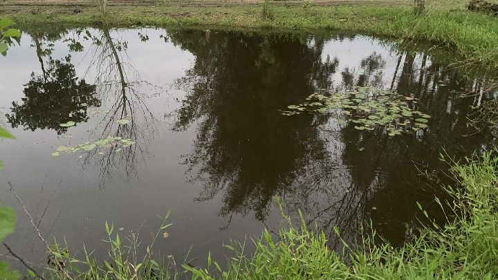 Chácara de 4.400 m² em Santo Antônio da Patrulha, RS