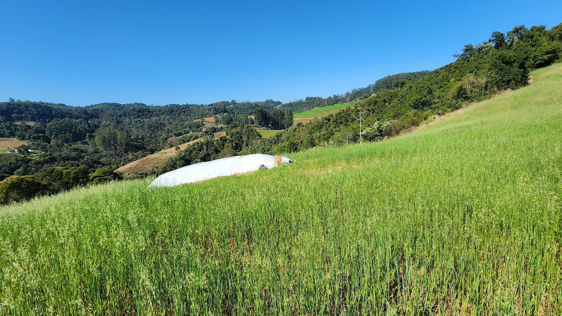 Fazenda de 9 ha em Rio do Sul, SC