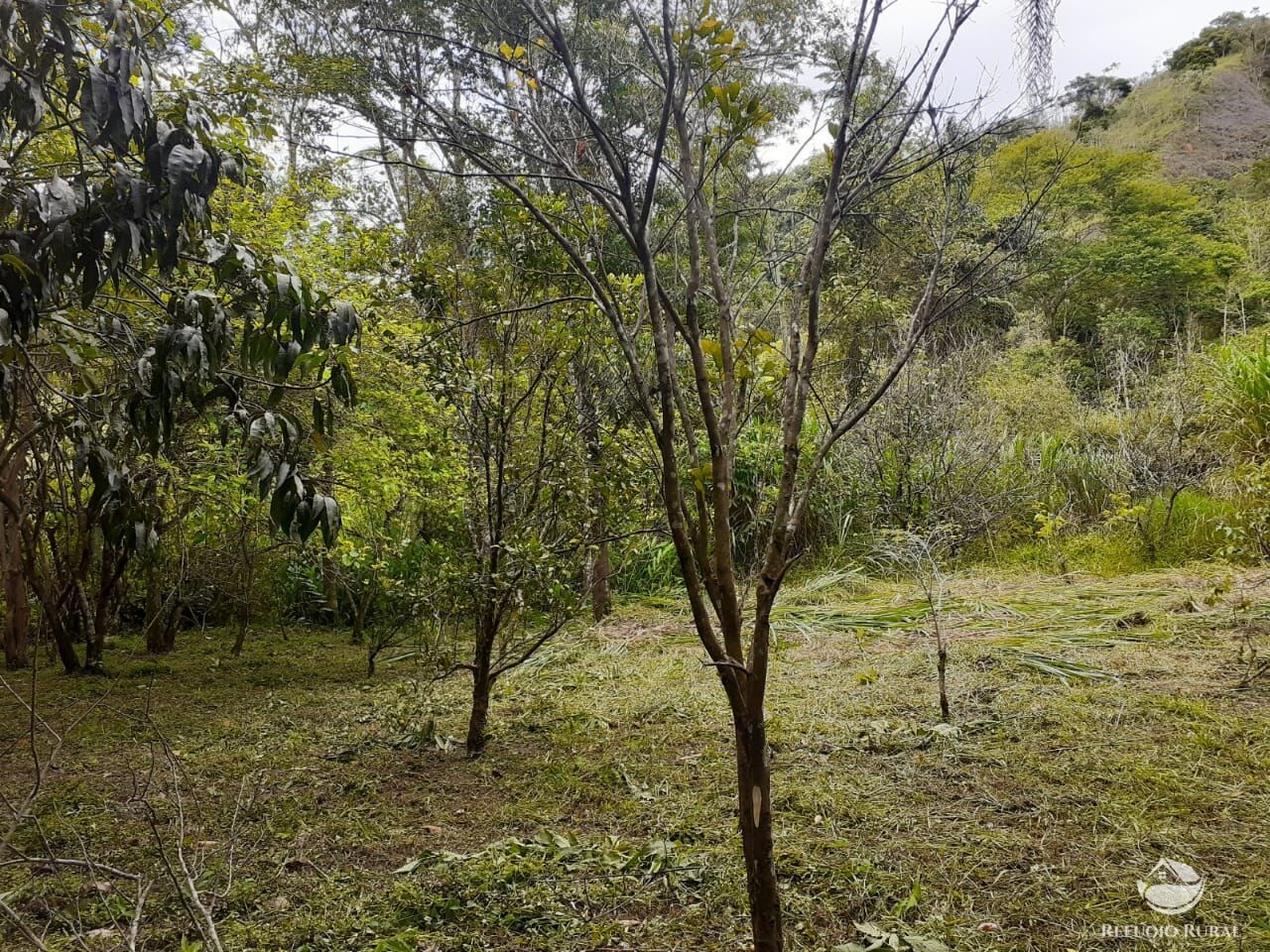 Chácara de 5.000 m² em Monteiro Lobato, SP