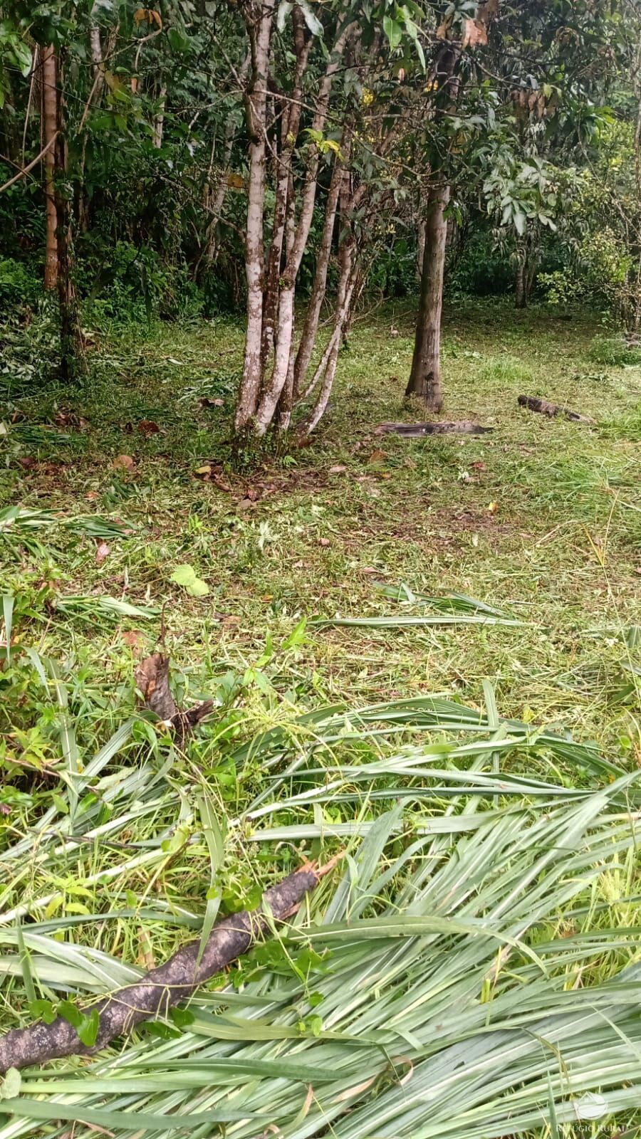 Chácara de 5.000 m² em Monteiro Lobato, SP