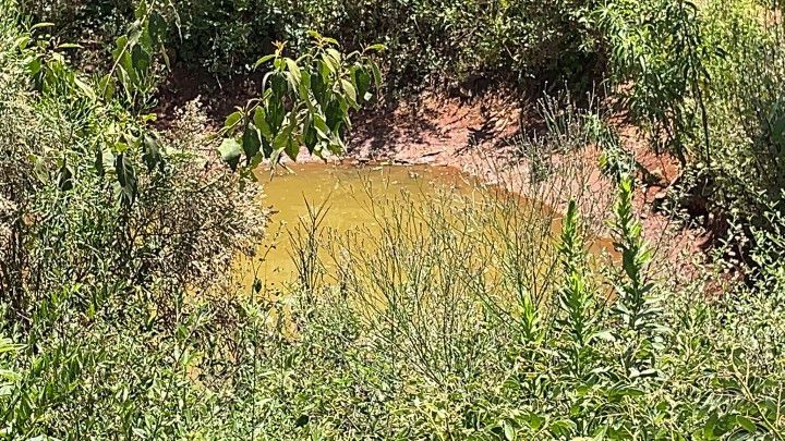 Chácara de 4.300 m² em Santo Antônio da Patrulha, RS