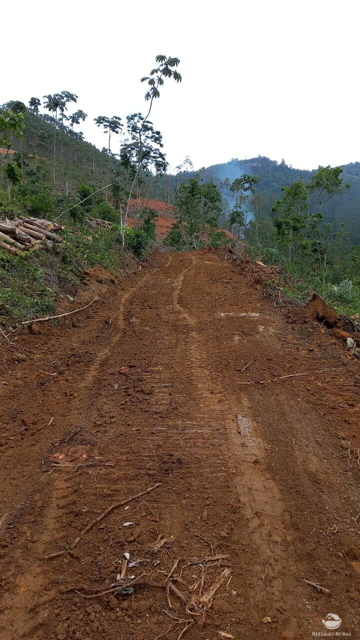 Terreno de 2 ha em Monteiro Lobato, SP