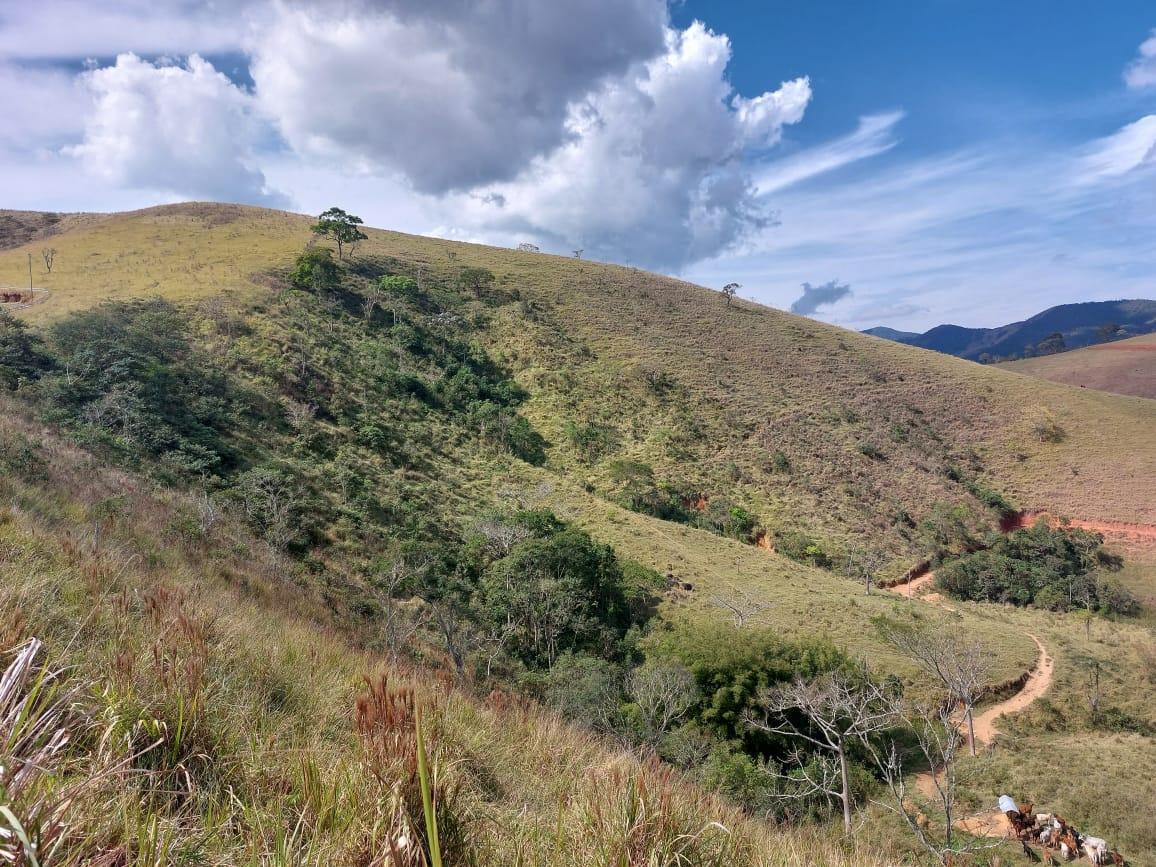 Sítio de 53 ha em Monteiro Lobato, SP