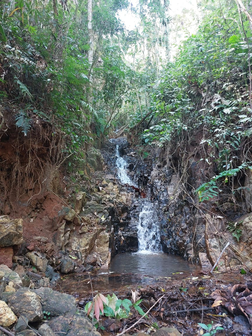 Sítio de 53 ha em Monteiro Lobato, SP