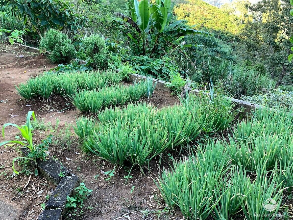 Chácara de 1.560 m² em São José dos Campos, SP