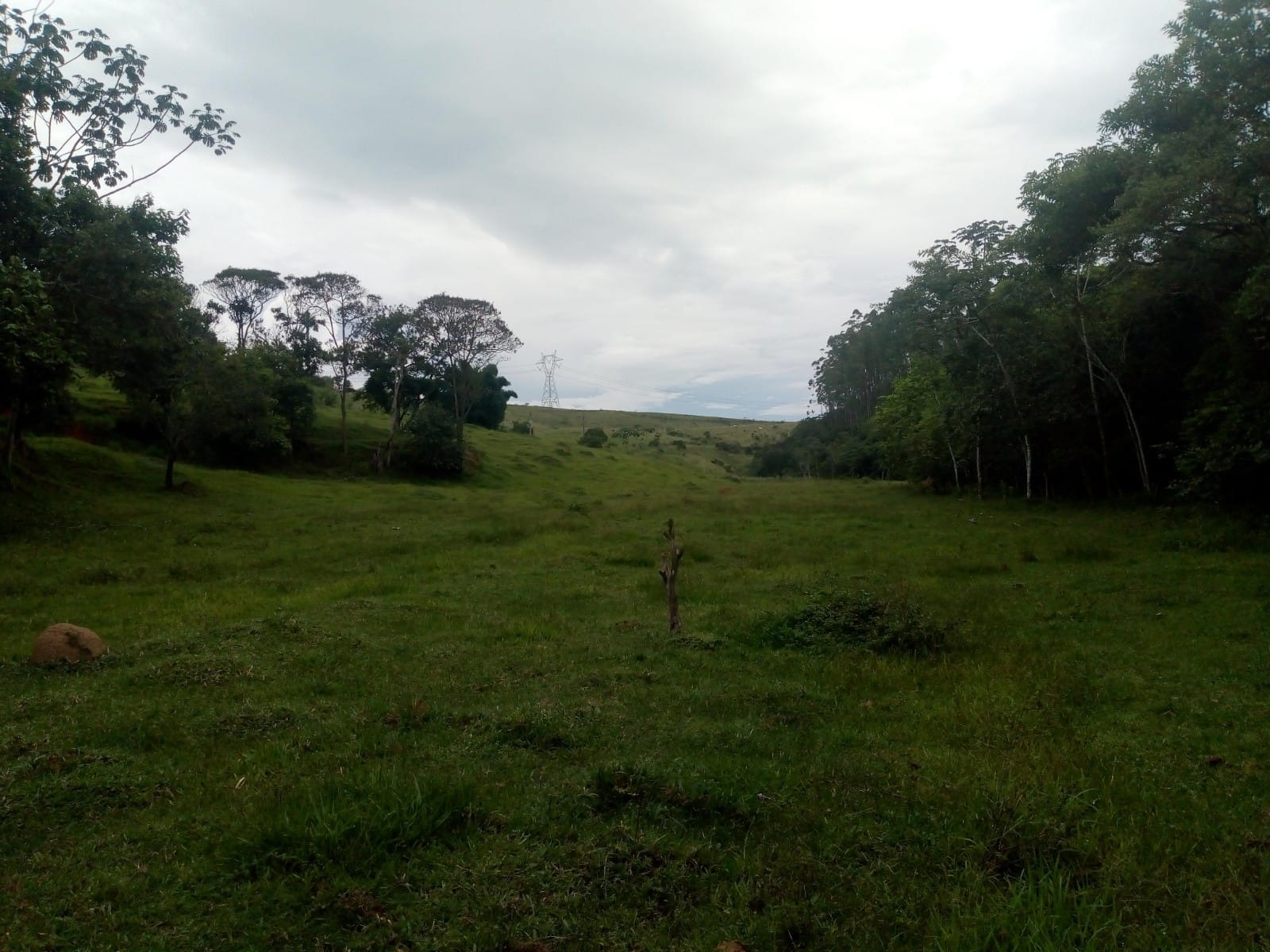 Terreno de 2 ha em São José dos Campos, SP