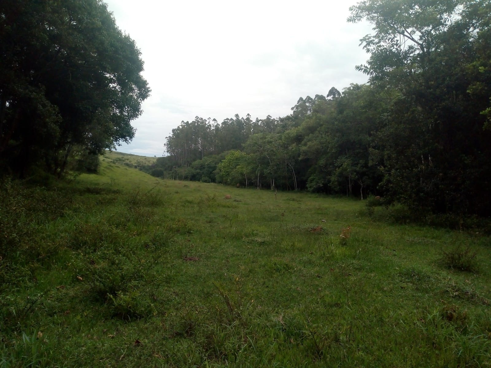 Terreno de 2 ha em São José dos Campos, SP