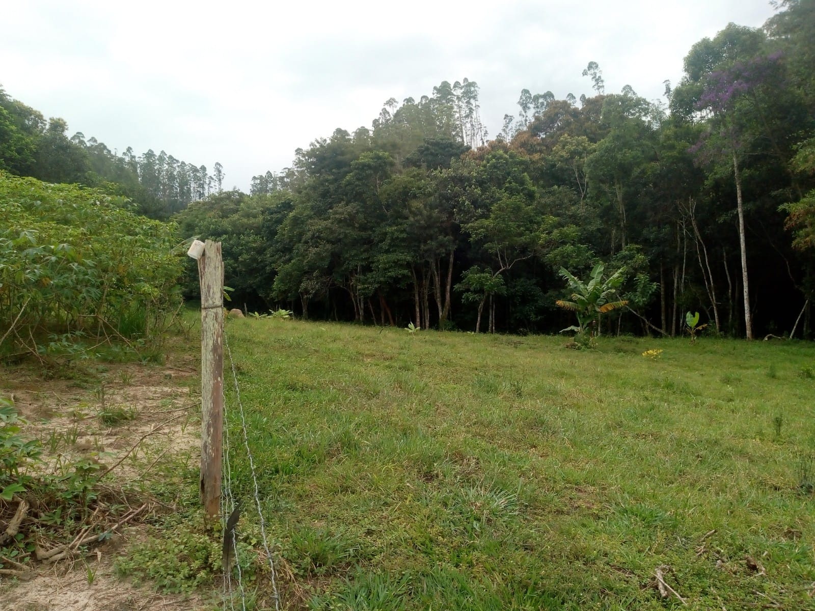 Terreno de 2 ha em São José dos Campos, SP