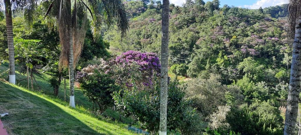 Chácara de 5.560 m² em São José dos Campos, SP